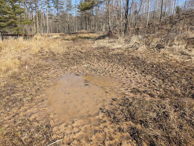 PXL_20240223_163344236