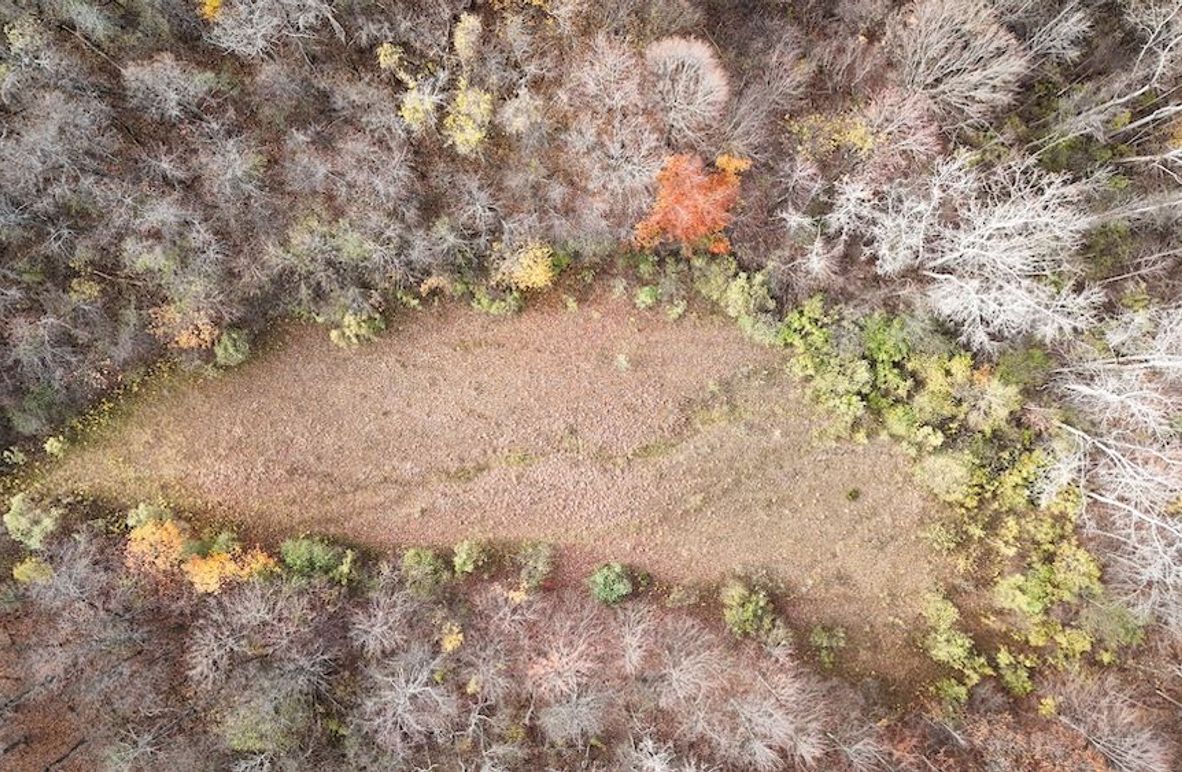 Wayne_18.11_Koehler Photo 1b