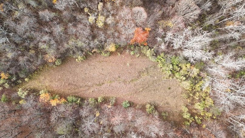 Wayne_18.11_Koehler Photo 1b