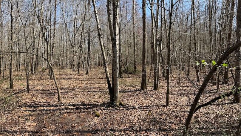 Butler 118 Capella27