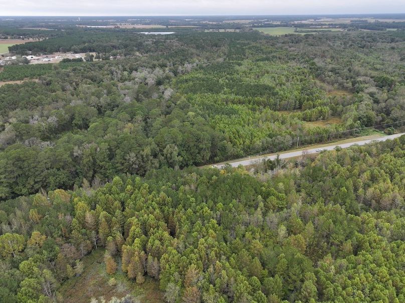 DJI_20251015091801_0141_D