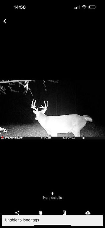 trailcam21
