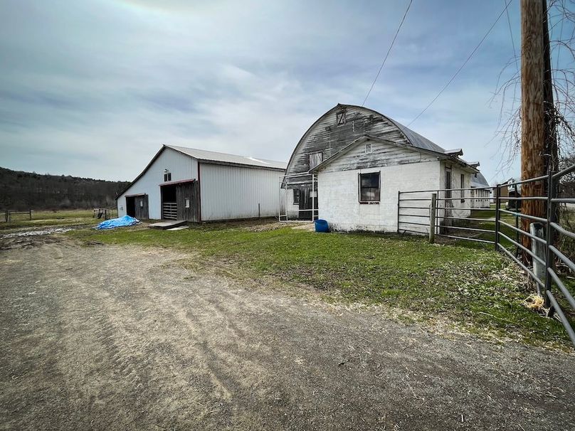 Tioga__NY_109.7_Burris_Photos_115