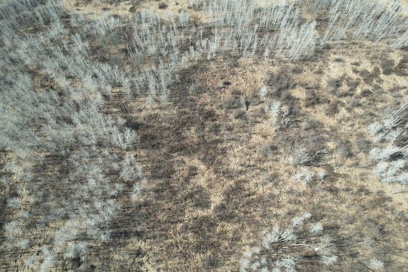 dji_fly_20260415_161524_163_1776288002867_photo