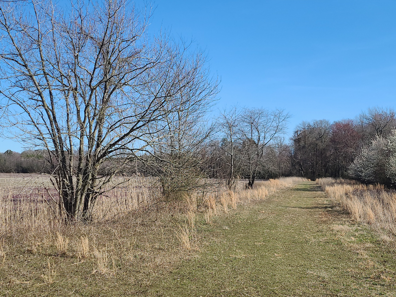 50.38ac_BethlehemRd_Caroline_Pic022