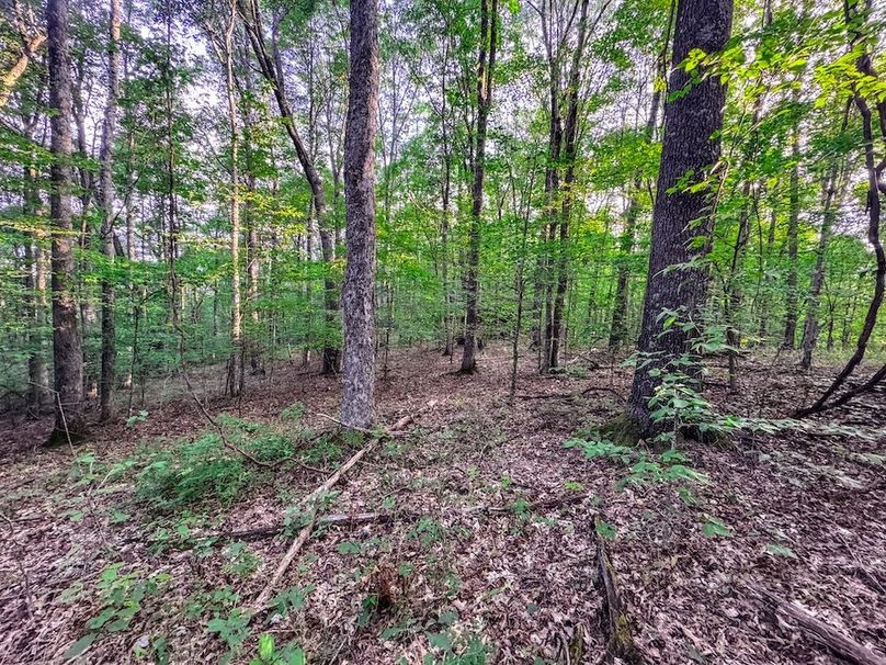 Webster, WV 42 AC Barger-36