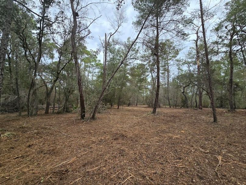 5ac, Marion, Andrew Goering05