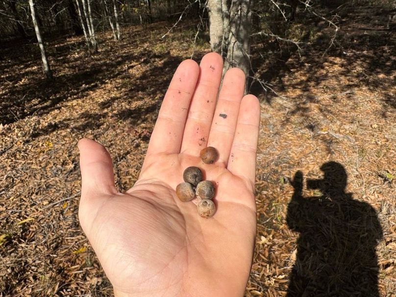 1a1 jeff 8320251111_0248