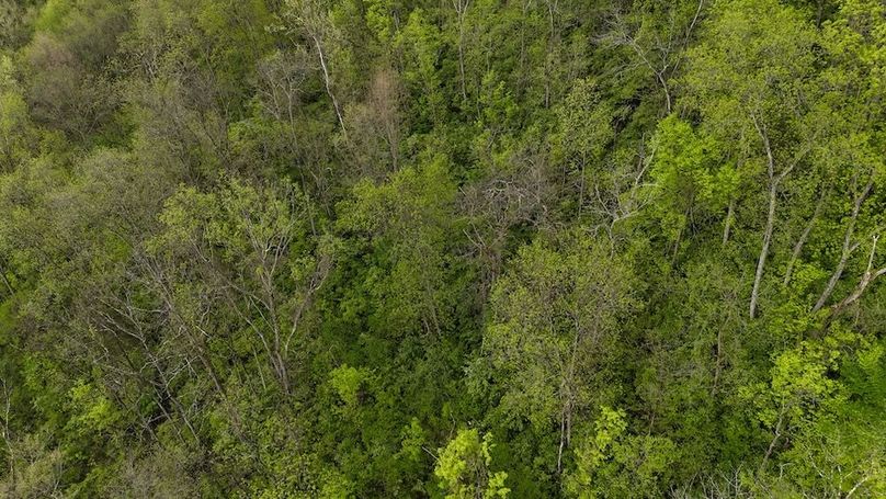 DJI_20250502104006_0471_D