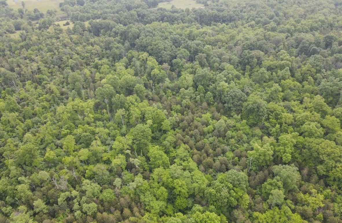 DJI_0525_W