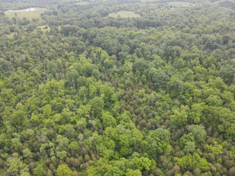 DJI_0525_W
