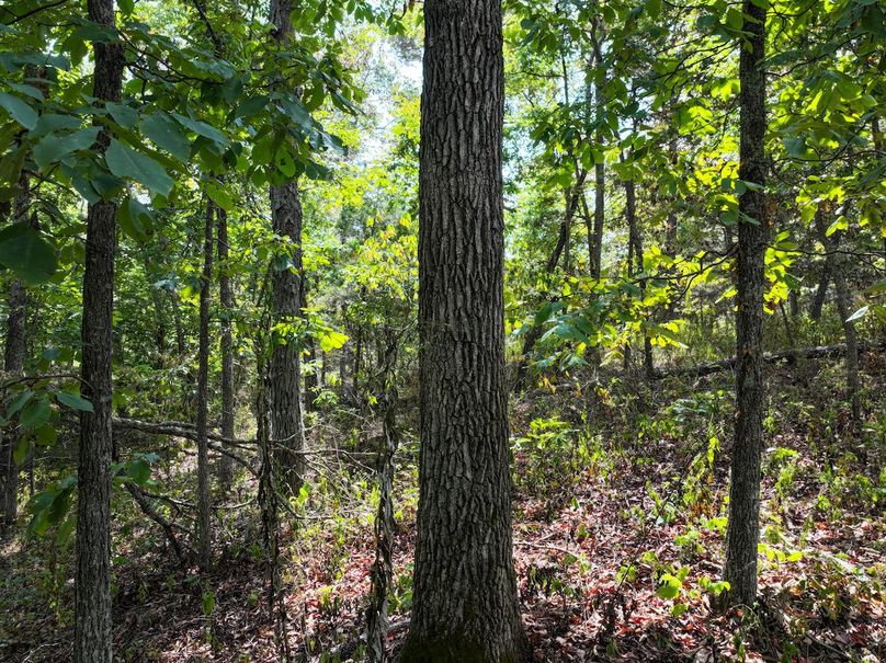 DJI_20250904124718_0588_D