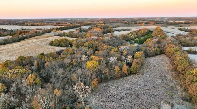 Screenshot 2025-11-20 at 10.05.46 AM