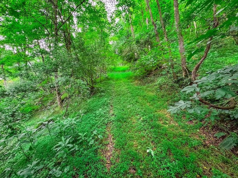 Doddridge, WV 15.68 AC Bonnett-62