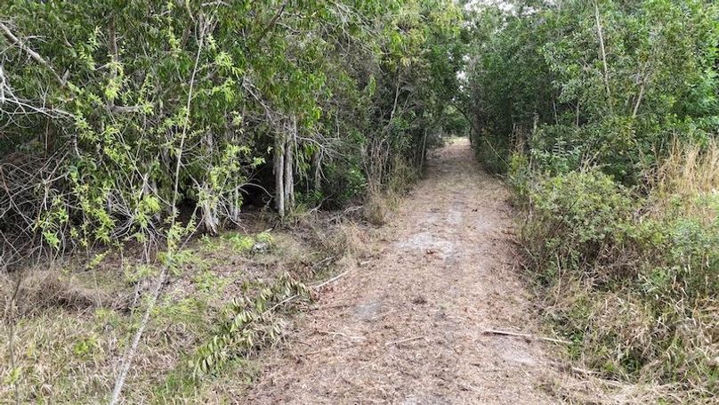 DJI_20260118094721_0180_D