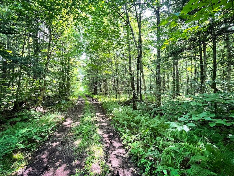 Oswego_100_Roof_Photos_32