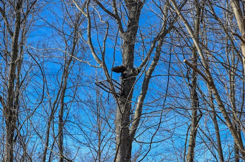 vandalia 450 (2)-1682