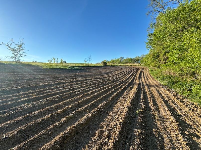 Houston 40ac Mueller-83