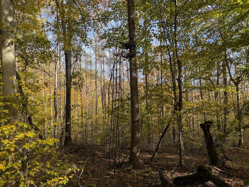 PXL_20251101_183043550