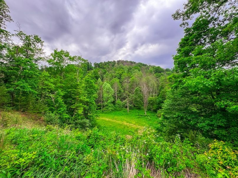 Tyler, WV 313.87 AC -49