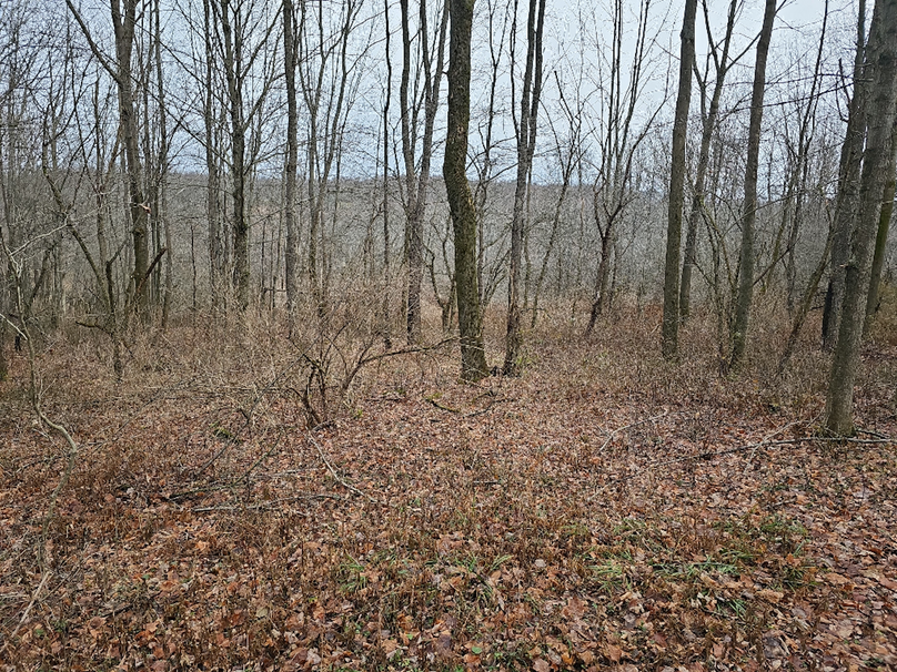 photo_c115c4fb-5044-46c7-8716-dfd4e70f92c2