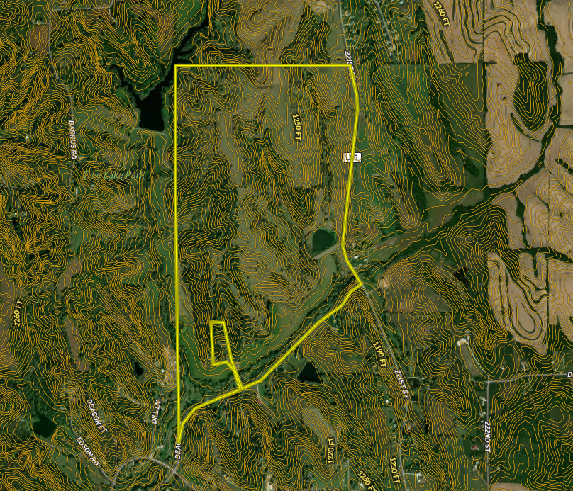 Screen Shot 2024-01-14 at 7.19.09 PM