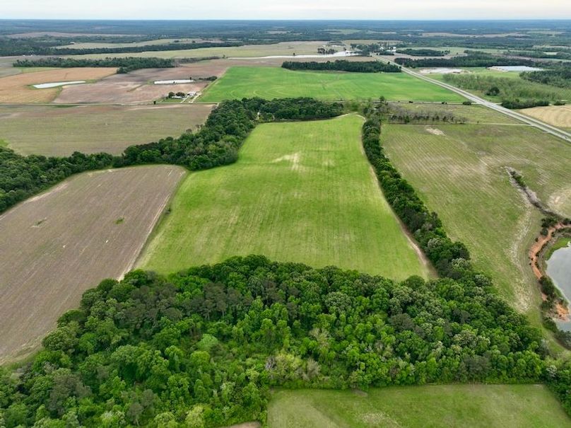 dji_fly_20260406_131800_476_1775496418177_photo