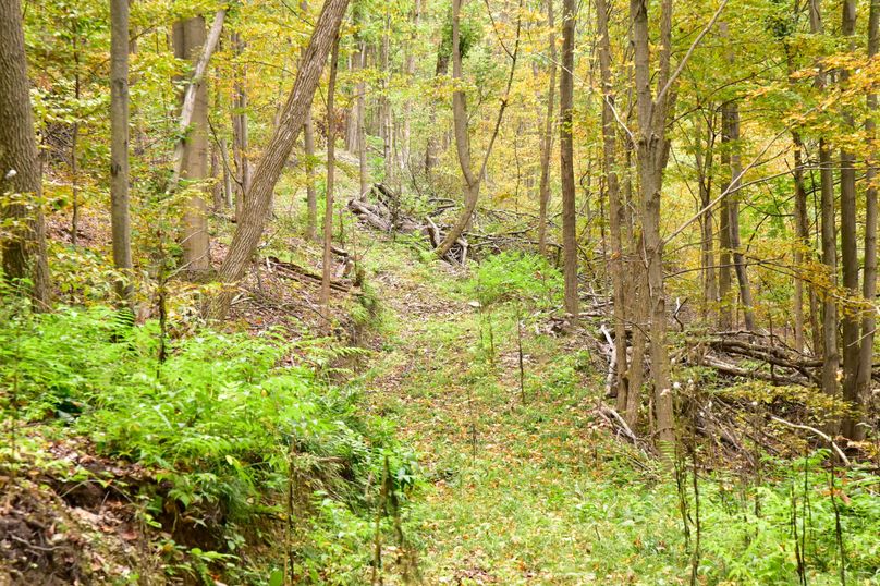 Chemung_29.5_Frantellizzi_Photo_16