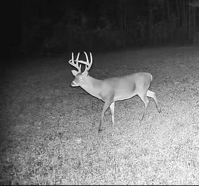 Claiborne Co - 274 - Marian-025