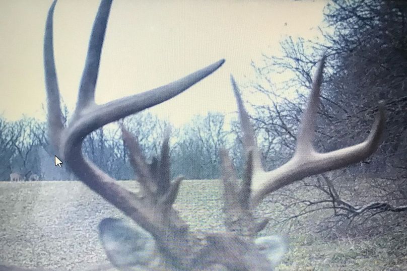 59