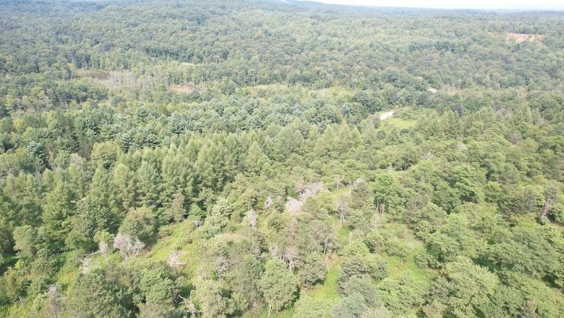 dji_fly_20250804_153238_493_1754355808296_photo