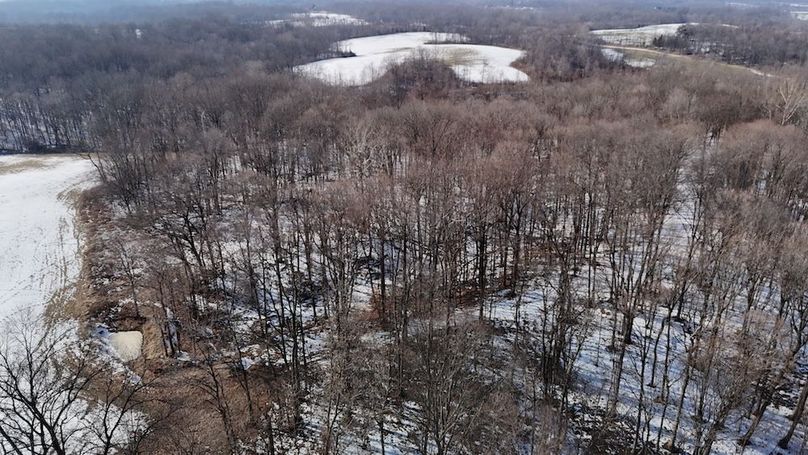 dji_fly_20260210_152702_0248_1770821594939_photo