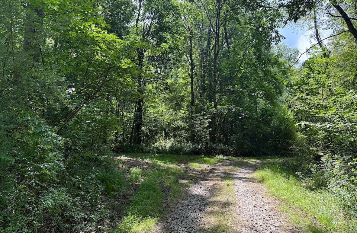 441D2137-C2B7-4D0A-865E-2A413EF4F555