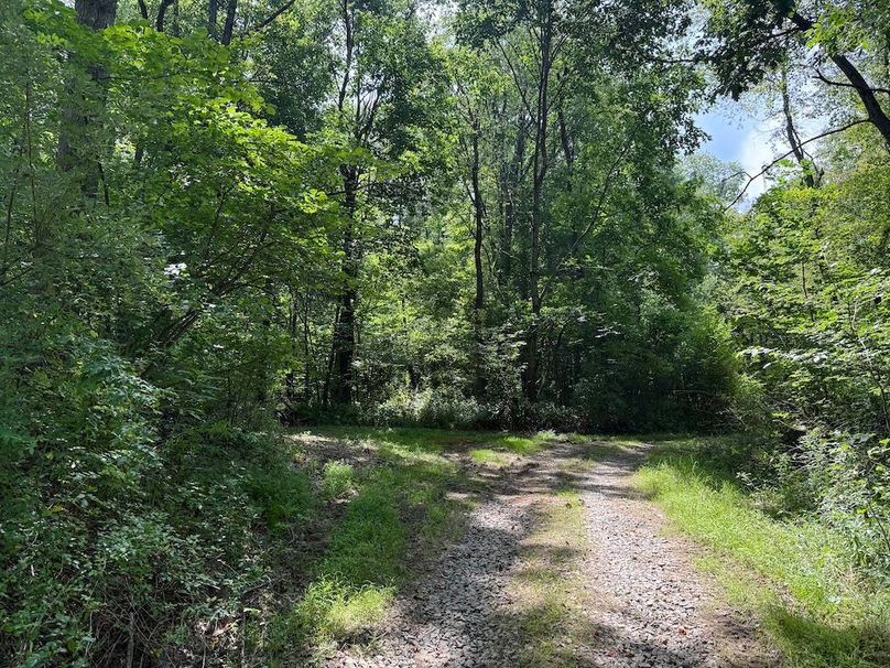 441D2137-C2B7-4D0A-865E-2A413EF4F555