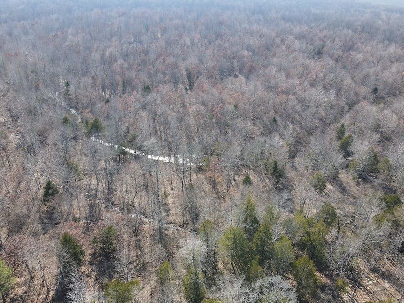 dji_fly_20250213_142534_15_1739478344115_photo