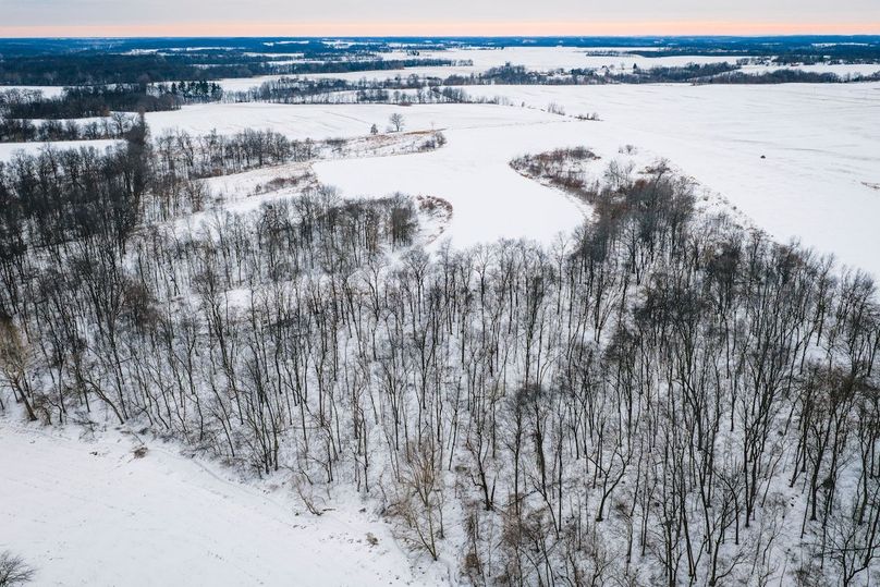 DJI_20260128164956_0580_D