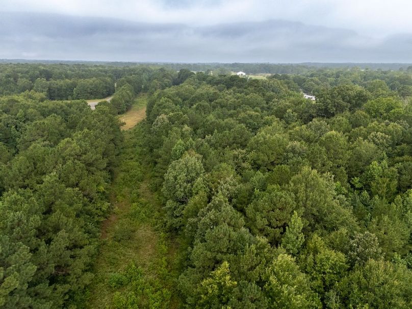 29 Panola Co. 40ac - Rouse-46