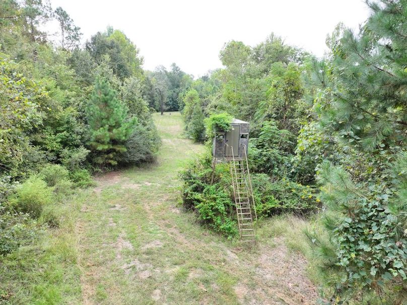 dji_fly_20250924_101210_0548_1758726280701_photo