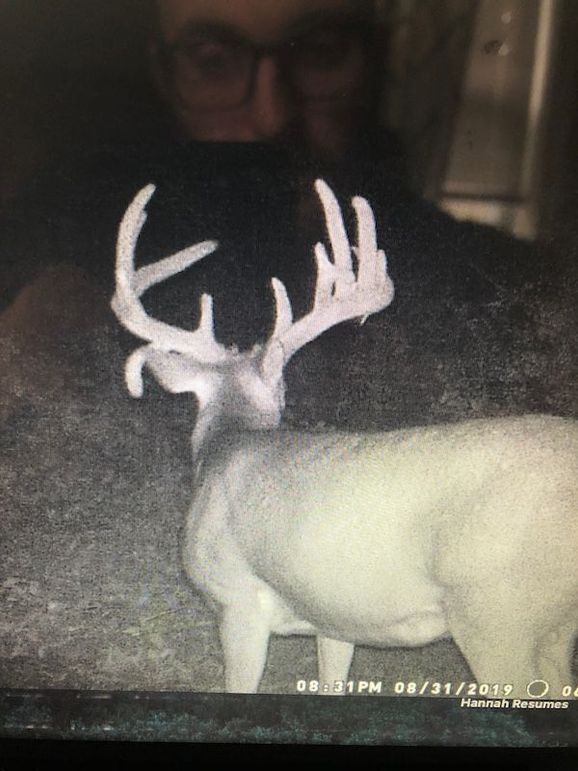 58957884005__7C840D47-D849-466D-A1B2-A9FCCBEAE33D