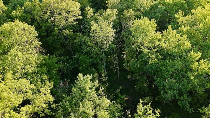 La Crosse 56.17 - 16