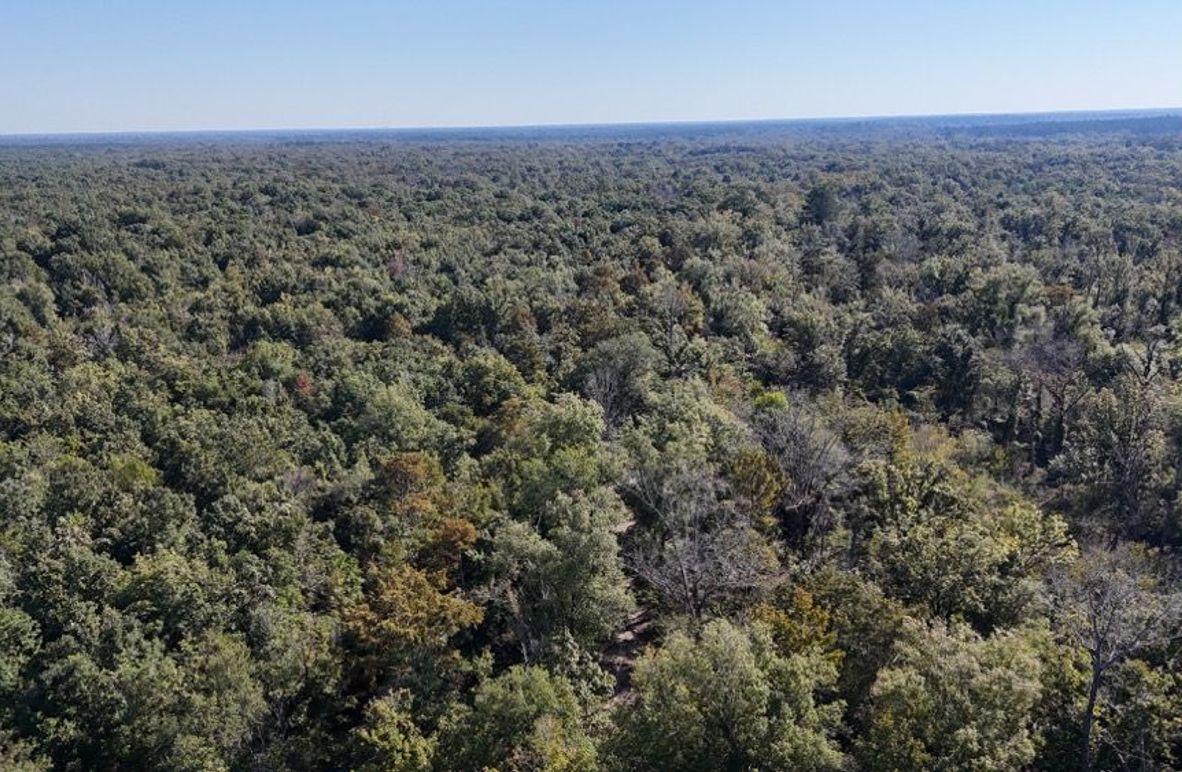 Copy of dji_fly_20251014_234148_0046_1760476920472_photo