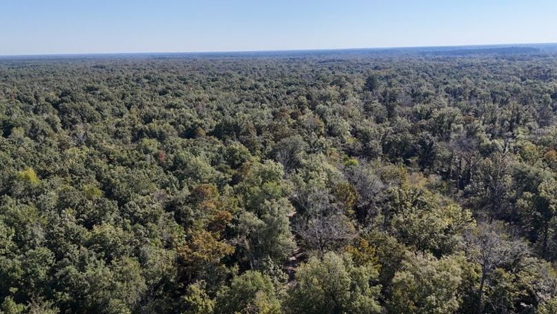 Copy of dji_fly_20251014_234148_0046_1760476920472_photo