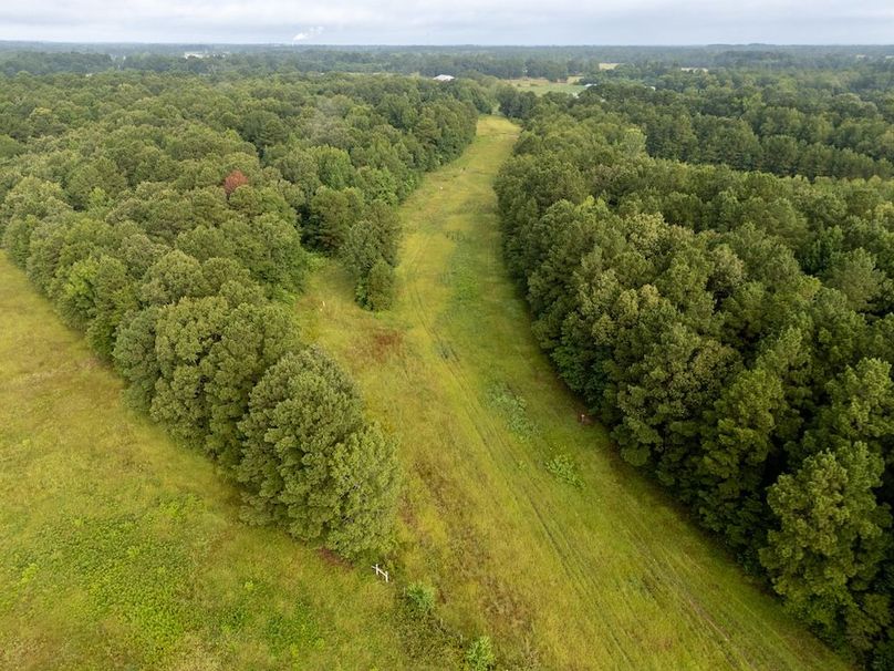 14 Panola Co. 40ac - Rouse-05