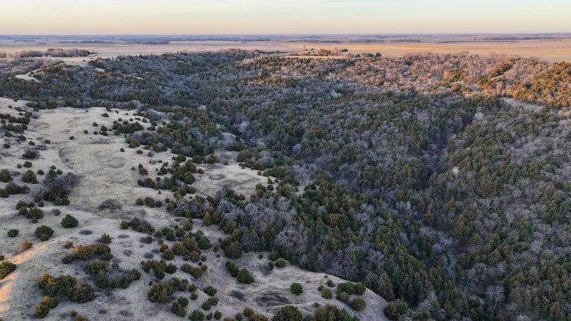 DJI_20260325074749_0105_D