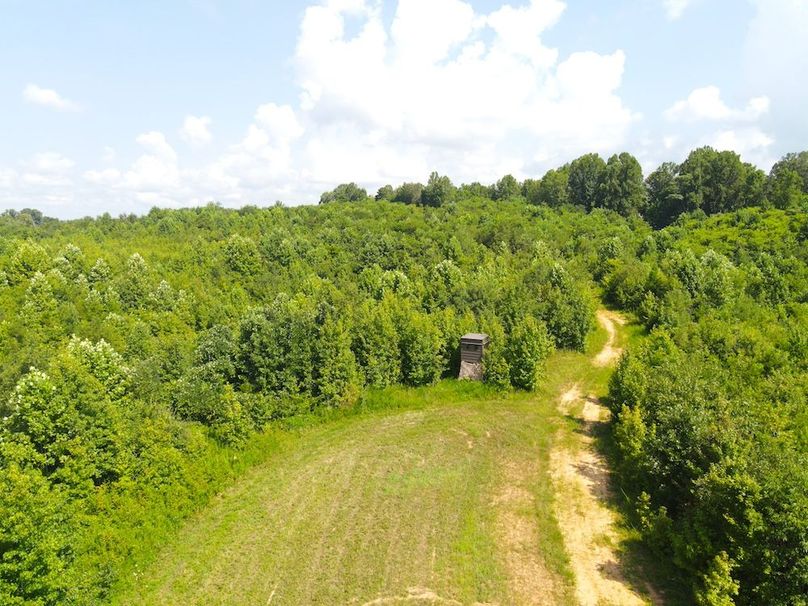 dji_fly_20250729_105304_802_1753800906350_photo