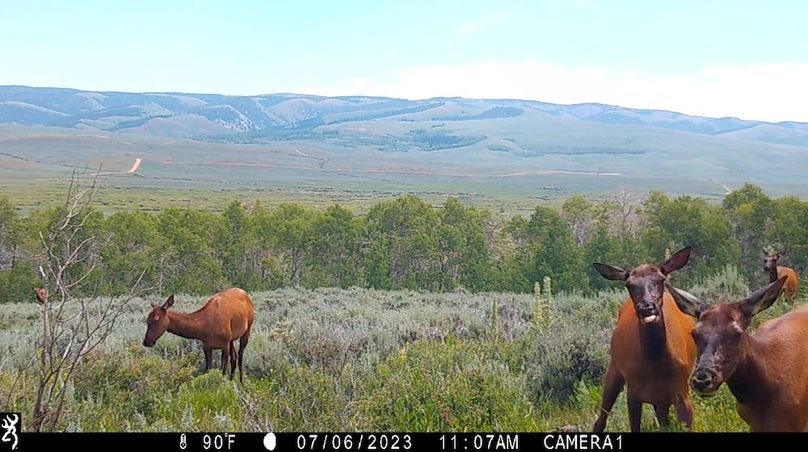 IMG_0037 - frame at 0m5s