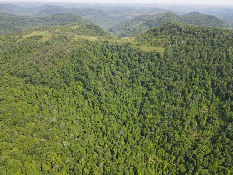 009 aerial photo looking over the northwestern boundary