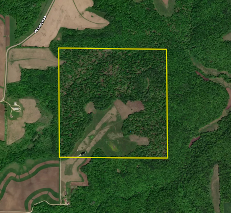 Screenshot 2026-03-25 at 9.01.57 AM