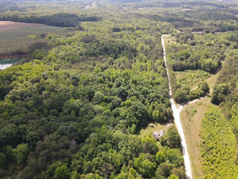DJI_0485