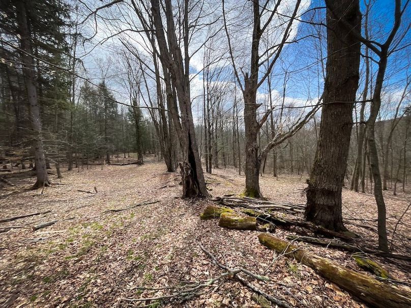 Tioga__NY_109.7_Burris_Photos_40